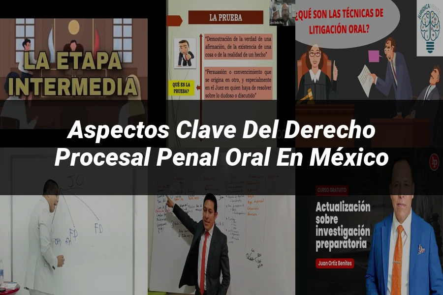 "Aspectos Clave del Derecho Procesal Penal Oral en México"