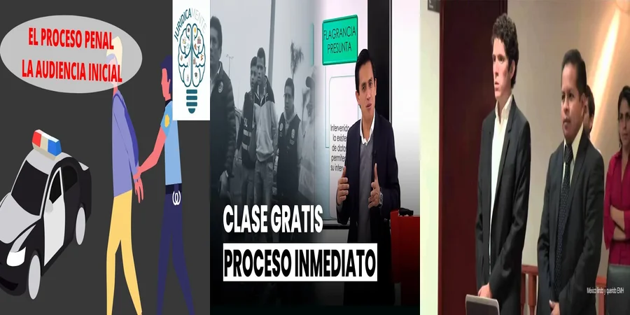 "Aspectos Clave del Derecho Procesal Penal Oral en México"
