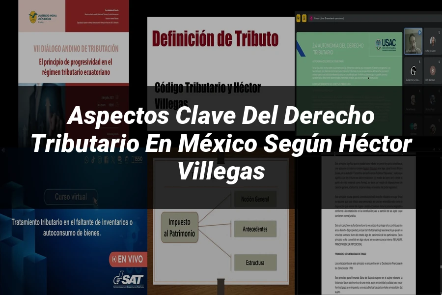 "Aspectos Clave del Derecho Tributario en México según Héctor Villegas"
