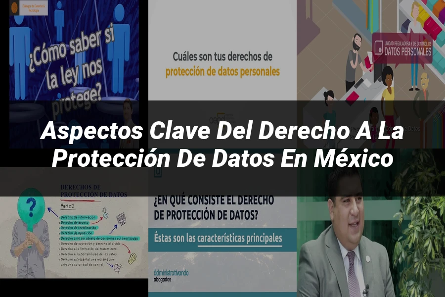 "Aspectos Clave del Derecho a la Protección de Datos en México"