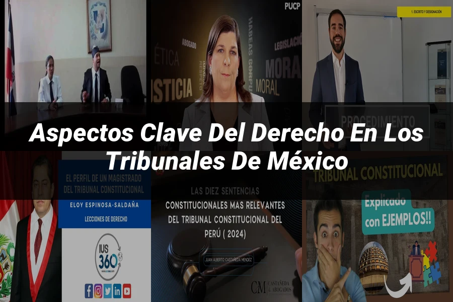 "Aspectos Clave del Derecho en los Tribunales de México"