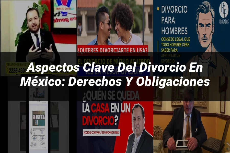"Aspectos Clave del Divorcio en México: Derechos y Obligaciones"