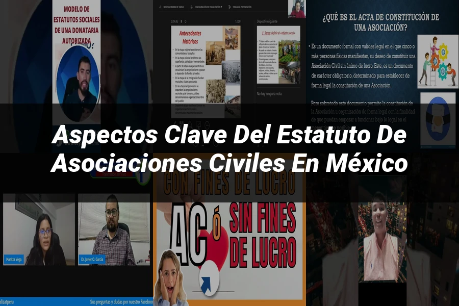 "Aspectos Clave del Estatuto de Asociaciones Civiles en México"