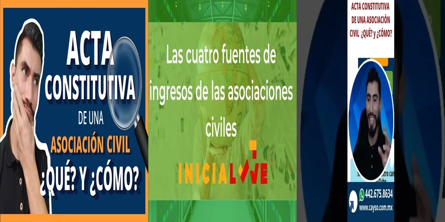 "Aspectos Clave del Estatuto de Asociaciones Civiles en México"