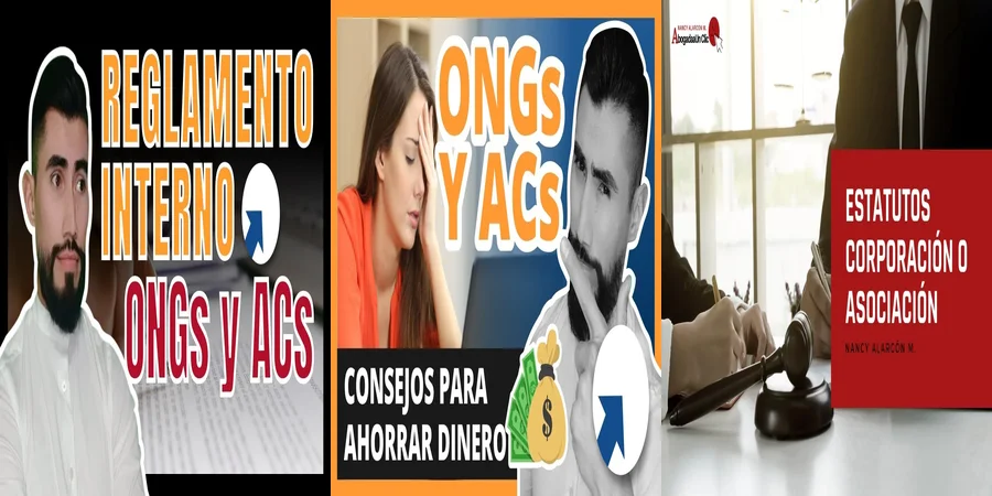 "Aspectos Clave del Estatuto de una ONG en el Contexto Legal Mexicano"