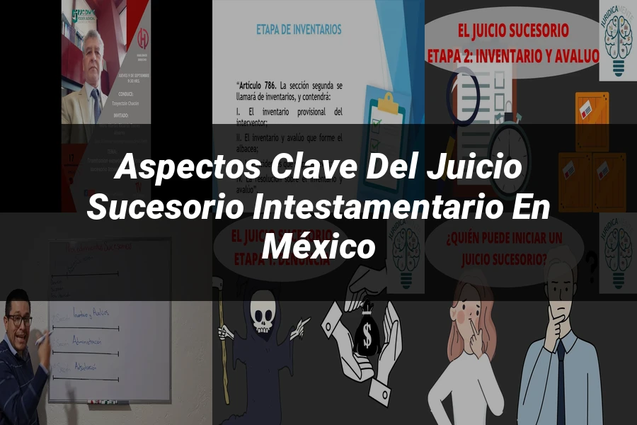 "Aspectos Clave del Juicio Sucesorio Intestamentario en México"