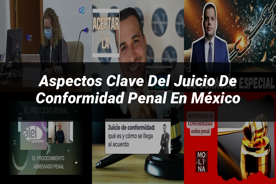 "Aspectos Clave del Juicio de Conformidad Penal en México"