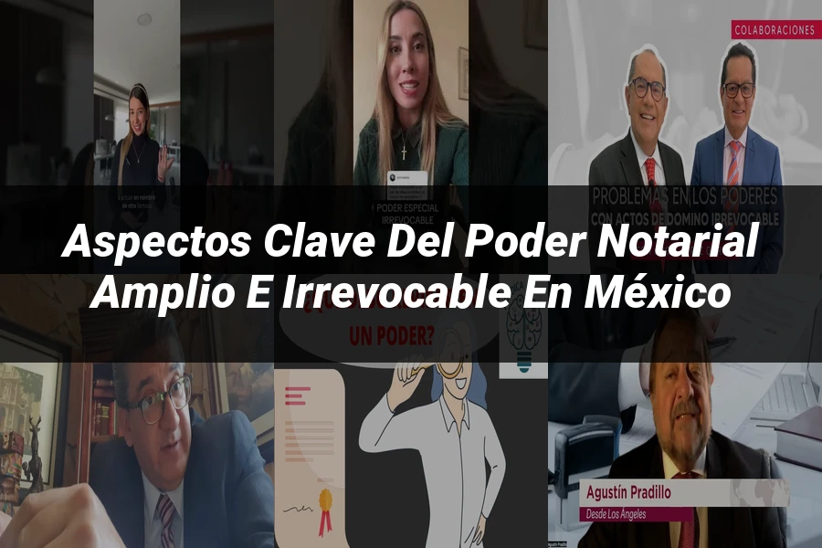 "Aspectos Clave del Poder Notarial Amplio e Irrevocable en México"