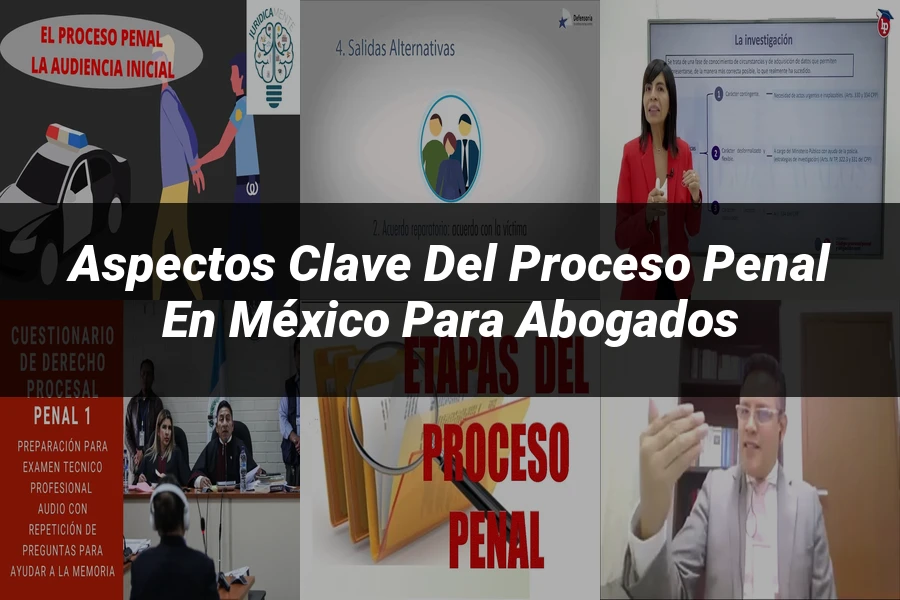 "Aspectos Clave del Proceso Penal en México para Abogados"