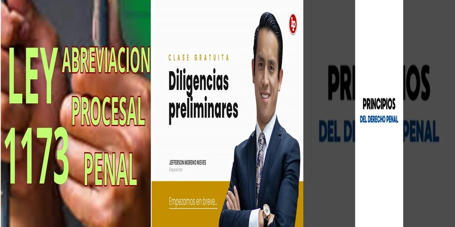 "Aspectos Clave del Proceso Penal en México para Abogados"
