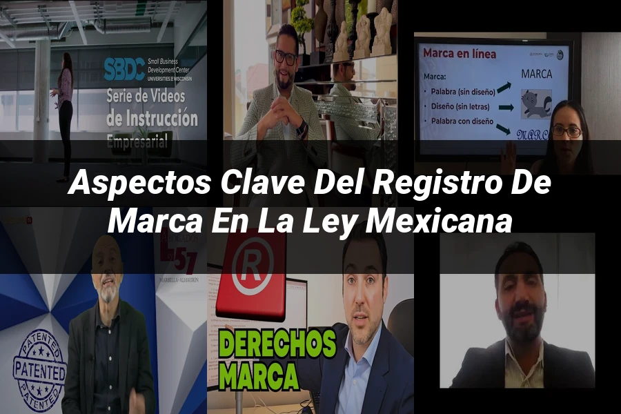 "Aspectos Clave del Registro de Marca en la Ley Mexicana"
