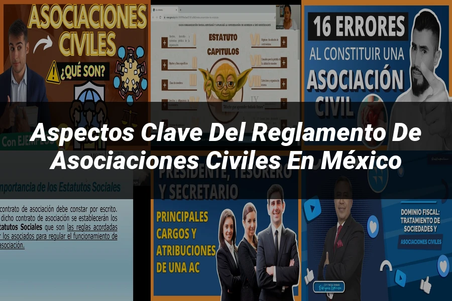 "Aspectos Clave del Reglamento de Asociaciones Civiles en México"