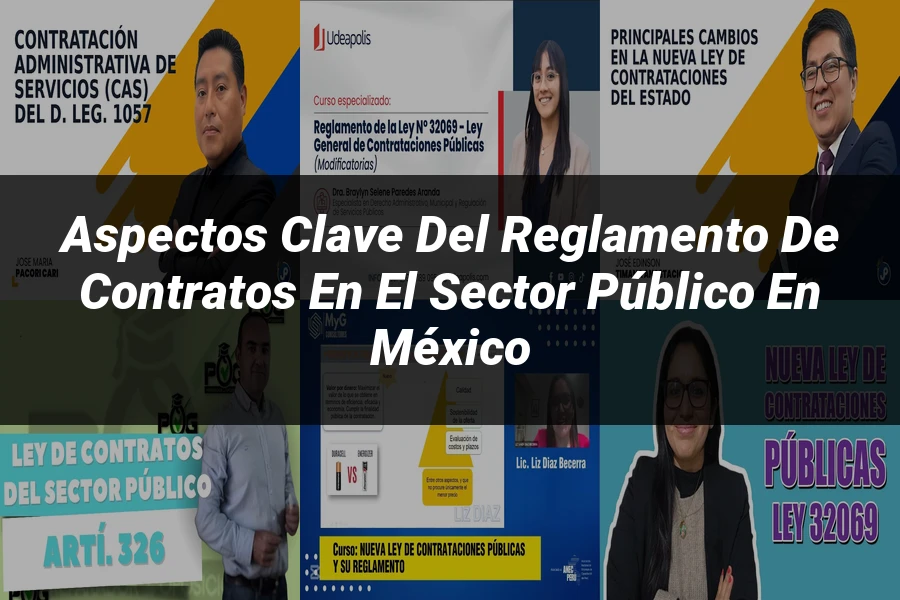 "Aspectos Clave del Reglamento de Contratos en el Sector Público en México"