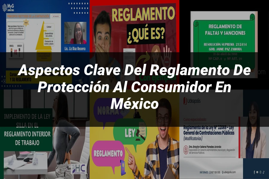 "Aspectos Clave del Reglamento de Protección al Consumidor en México"