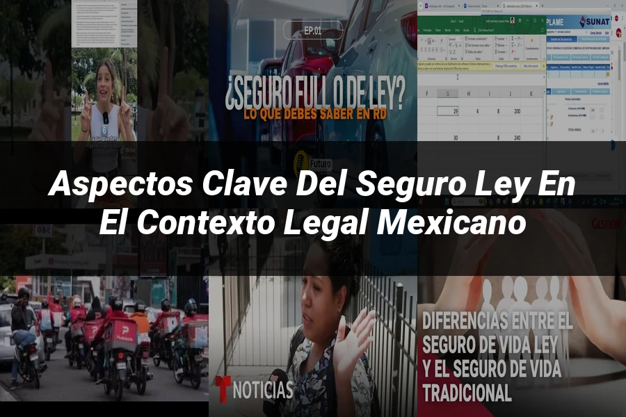 "Aspectos Clave del Seguro Ley en el Contexto Legal Mexicano"