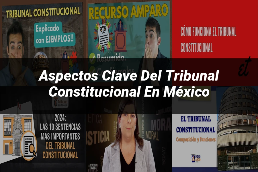 "Aspectos Clave del Tribunal Constitucional en México"