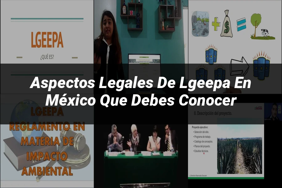 "Aspectos Legales de Lgeepa en México que Debes Conocer"