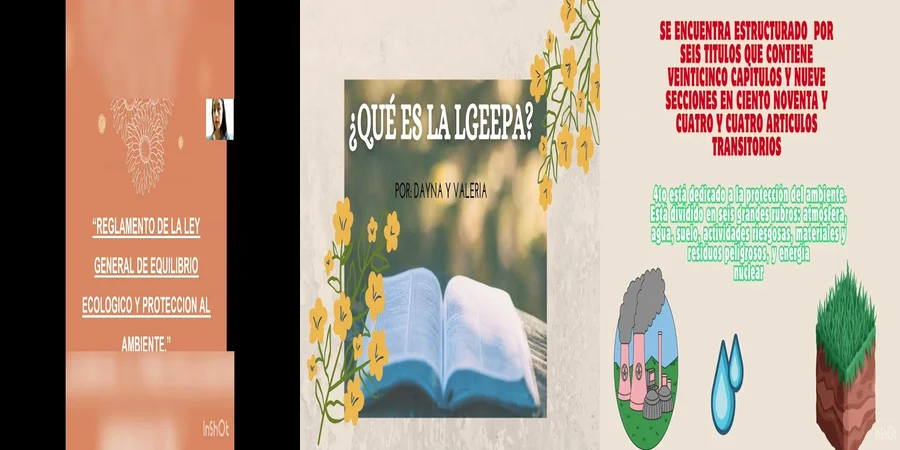 "Aspectos Legales de Lgeepa en México que Debes Conocer"