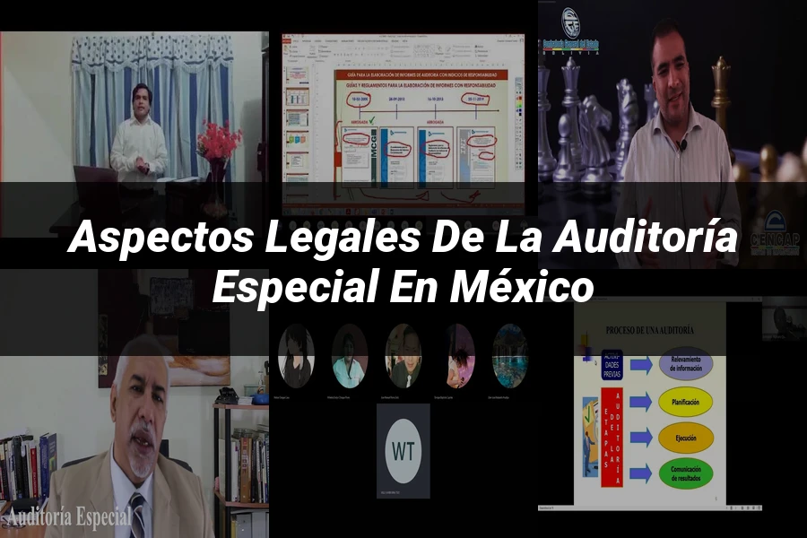 "Aspectos Legales de la Auditoría Especial en México"