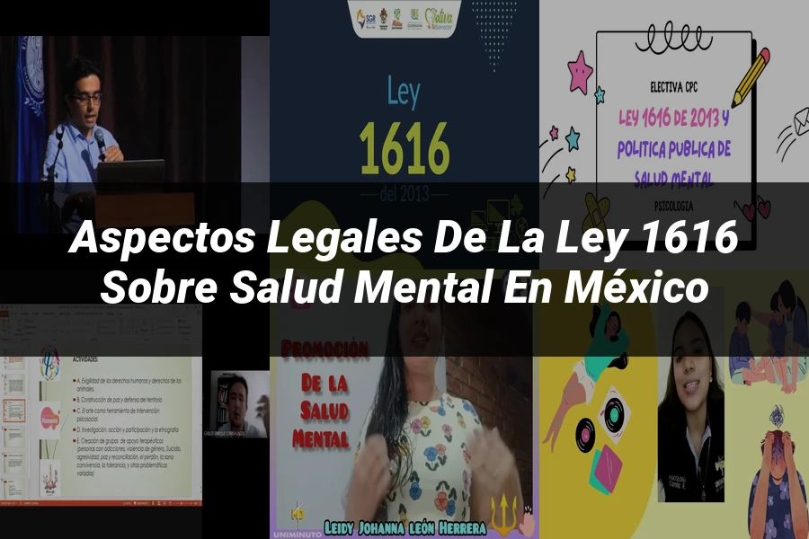 "Aspectos Legales de la Ley 1616 sobre Salud Mental en México"