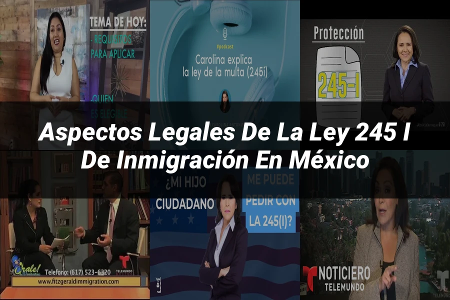 "Aspectos Legales de la Ley 245 i de Inmigración en México"