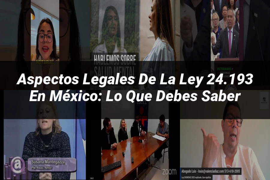 "Aspectos Legales de la Ley 24.193 en México: Lo Que Debes Saber"