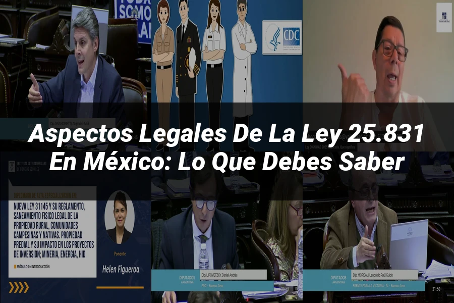 "Aspectos Legales de la Ley 25.831 en México: Lo Que Debes Saber"