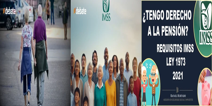 "Aspectos Legales de la Ley 73 de Pensiones del IMSS en México"