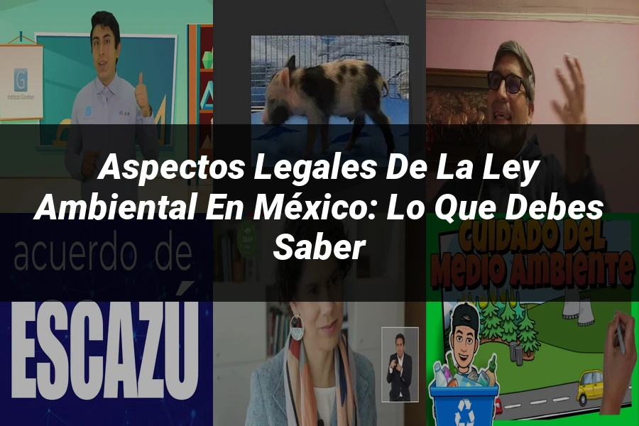 "Aspectos Legales de la Ley Ambiental en México: Lo Que Debes Saber"
