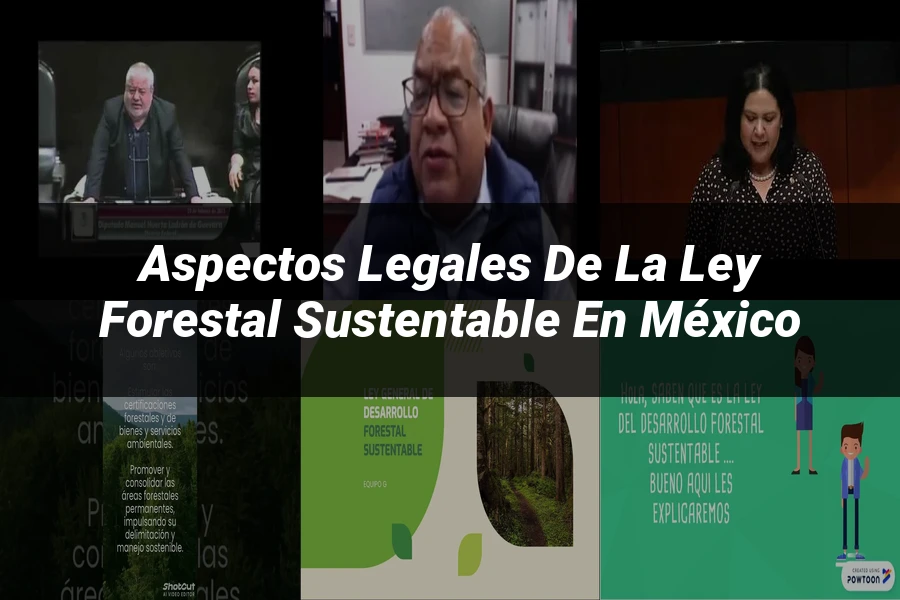 "Aspectos Legales de la Ley Forestal Sustentable en México"