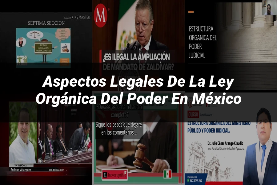 "Aspectos Legales de la Ley Orgánica del Poder en México"