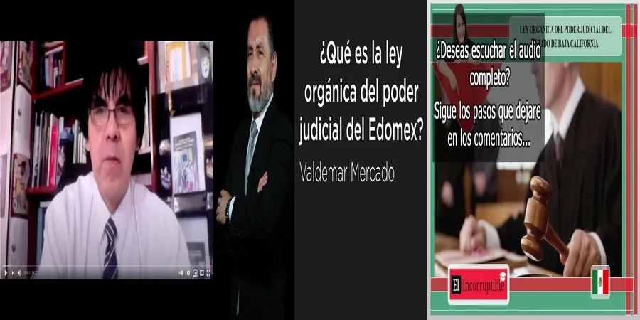 "Aspectos Legales de la Ley Orgánica del Poder en México"