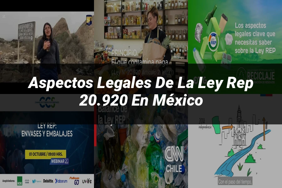 "Aspectos Legales de la Ley Rep 20.920 en México"