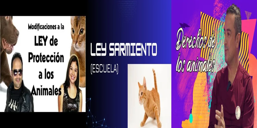 "Aspectos Legales de la Ley Sarmiento de Protección Animal en México"