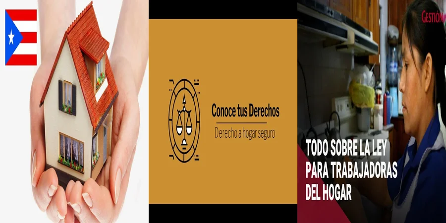 "Aspectos Legales de la Ley de Hogar Seguro en México"