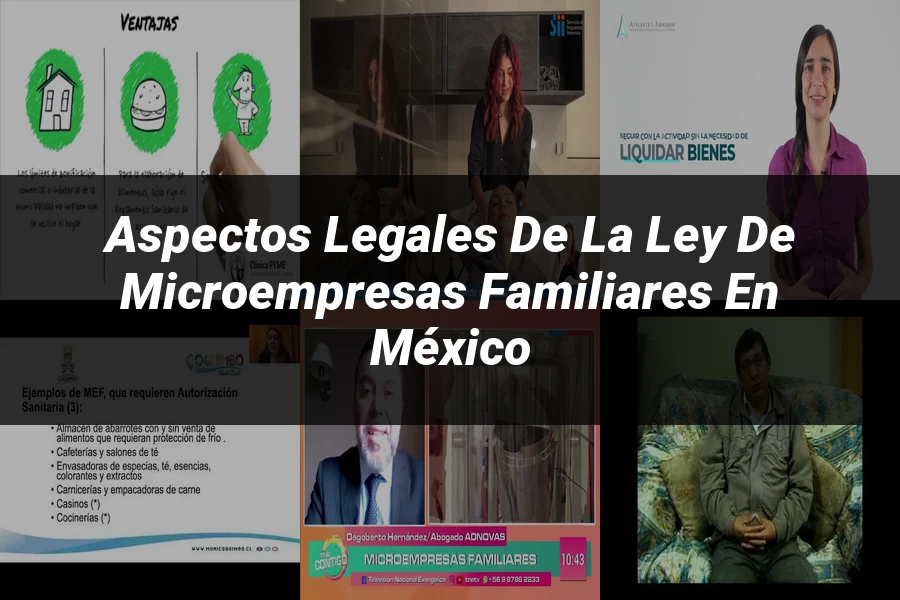 "Aspectos Legales de la Ley de Microempresas Familiares en México"