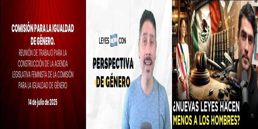 "Aspectos Legales de la Ley de Perspectiva de Género en México"