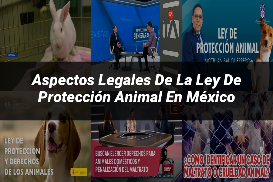 "Aspectos Legales de la Ley de Protección Animal en México"