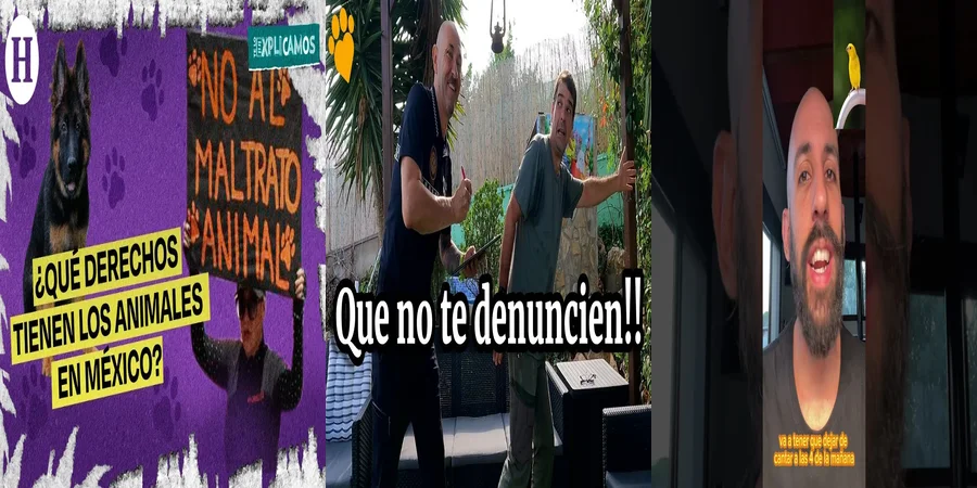 "Aspectos Legales de la Ley de Protección Animal en México"