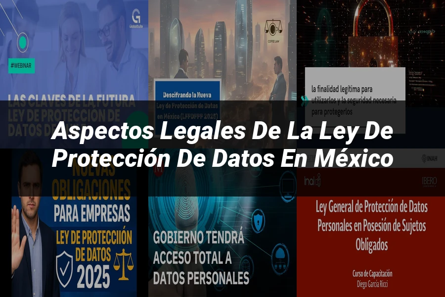 "Aspectos Legales de la Ley de Protección de Datos en México"