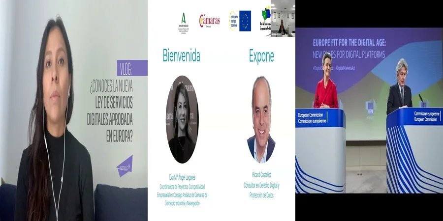 "Aspectos Legales de la Ley de Servicios Digitales en México"