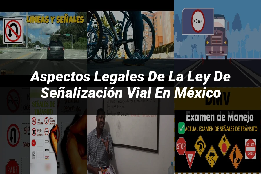 "Aspectos Legales de la Ley de Señalización Vial en México"