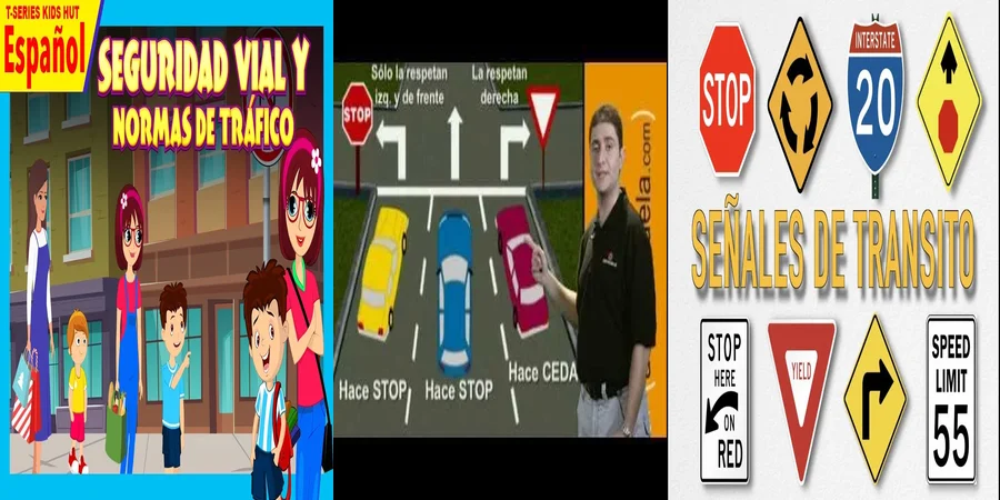 "Aspectos Legales de la Ley de Señalización Vial en México"