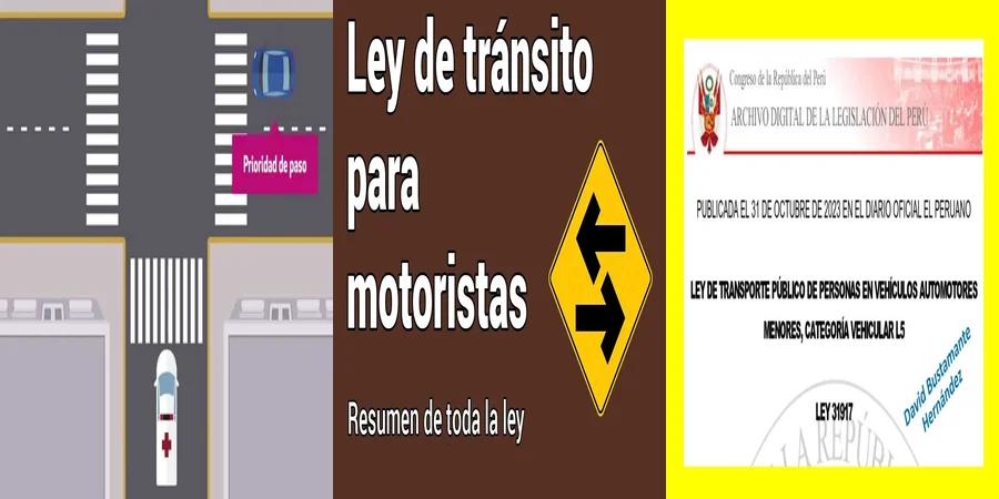 "Aspectos Legales de la Ley de Tránsito Vehicular en México"