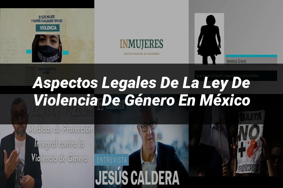 "Aspectos Legales de la Ley de Violencia de Género en México"