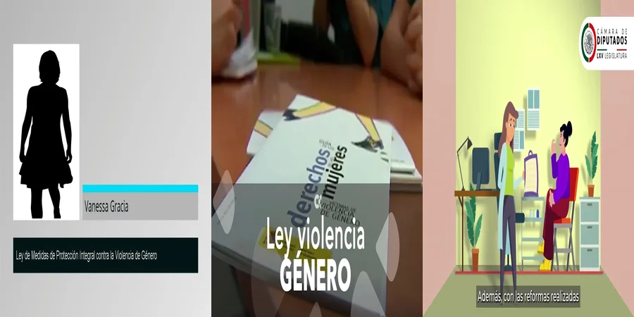 "Aspectos Legales de la Ley de Violencia de Género en México"