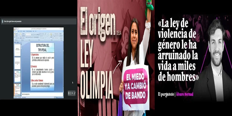 "Aspectos Legales de la Ley de Violencia en México"