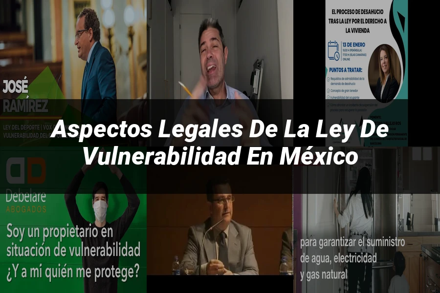 "Aspectos Legales de la Ley de Vulnerabilidad en México"