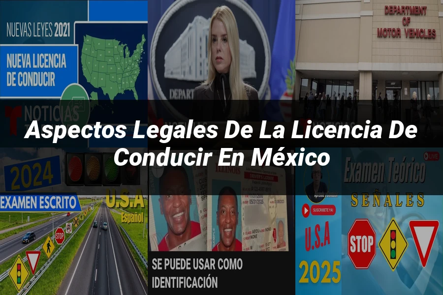 "Aspectos Legales de la Licencia de Conducir en México"