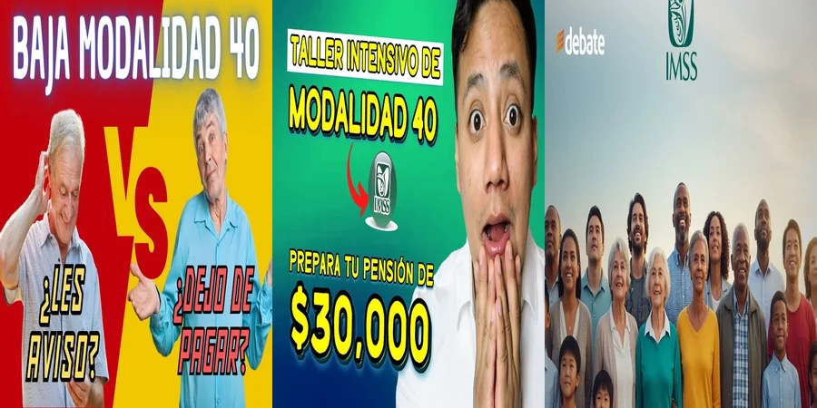 "Aspectos Legales de la Pensión 40 IMSS en México"